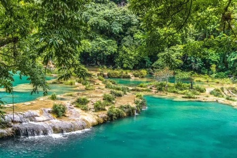 Tour Altura Maya